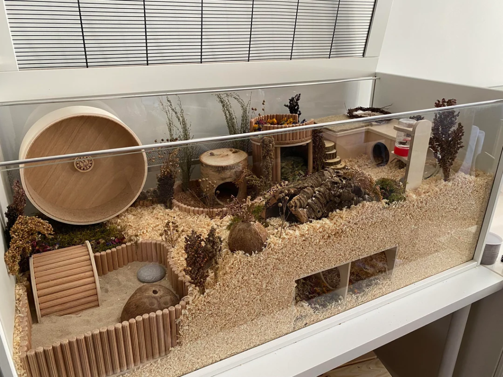 A Hamster Habitat