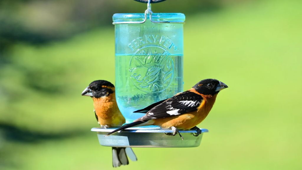 Food and Water Systems