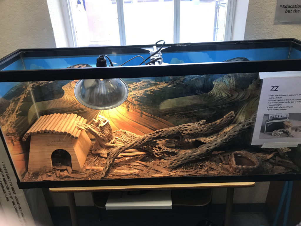 Lighting and Heating Equipment