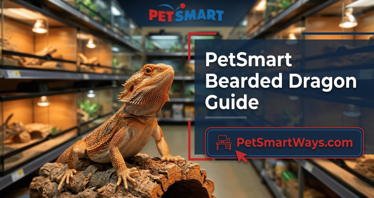 petsmart bearded dragon guide + cost (1)