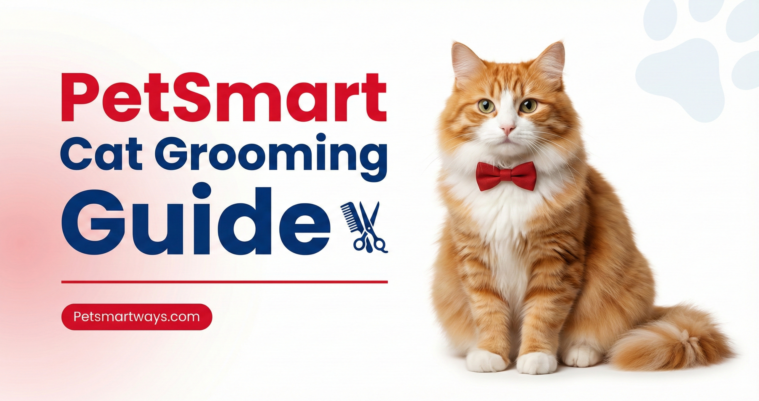 petsmart cat grooming services guide