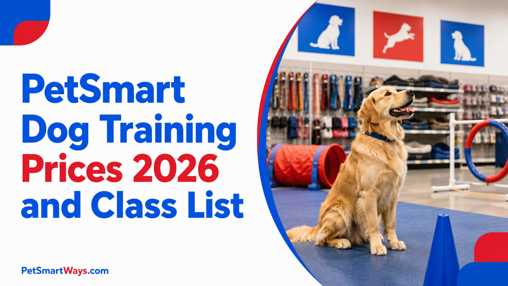 PetSmart Dog Training Prices 2026 and Class List