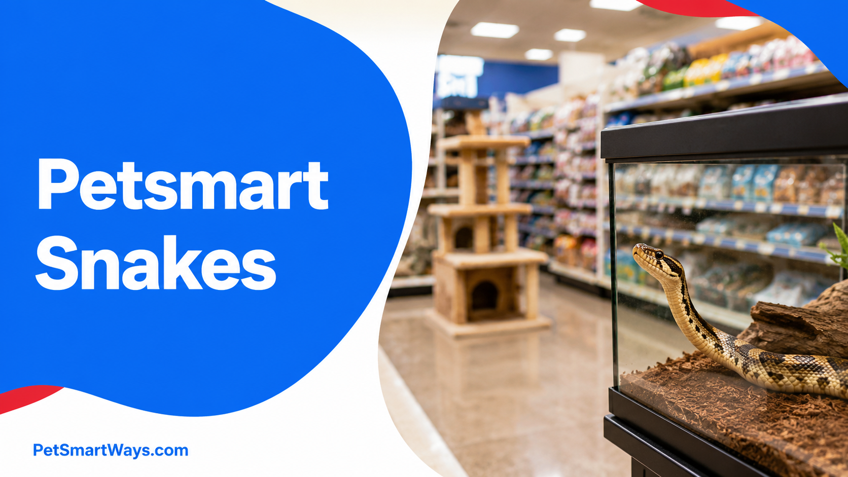 Petsmart Snakes