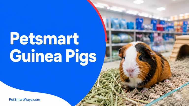 Petsmart guinea pigs