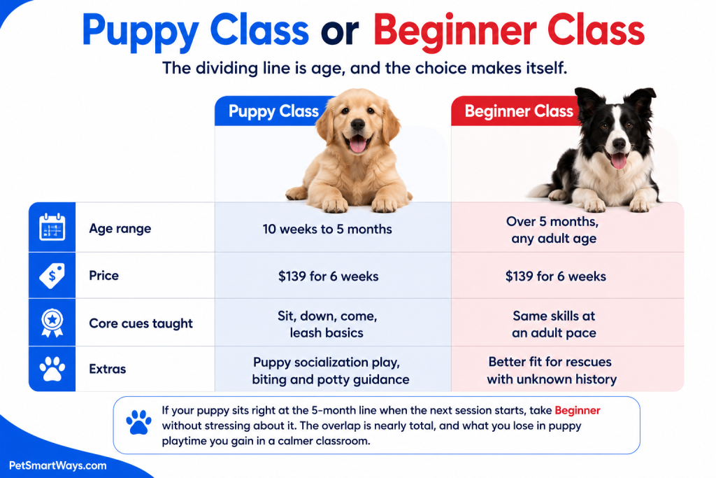 Puppy Class or Beginner Class