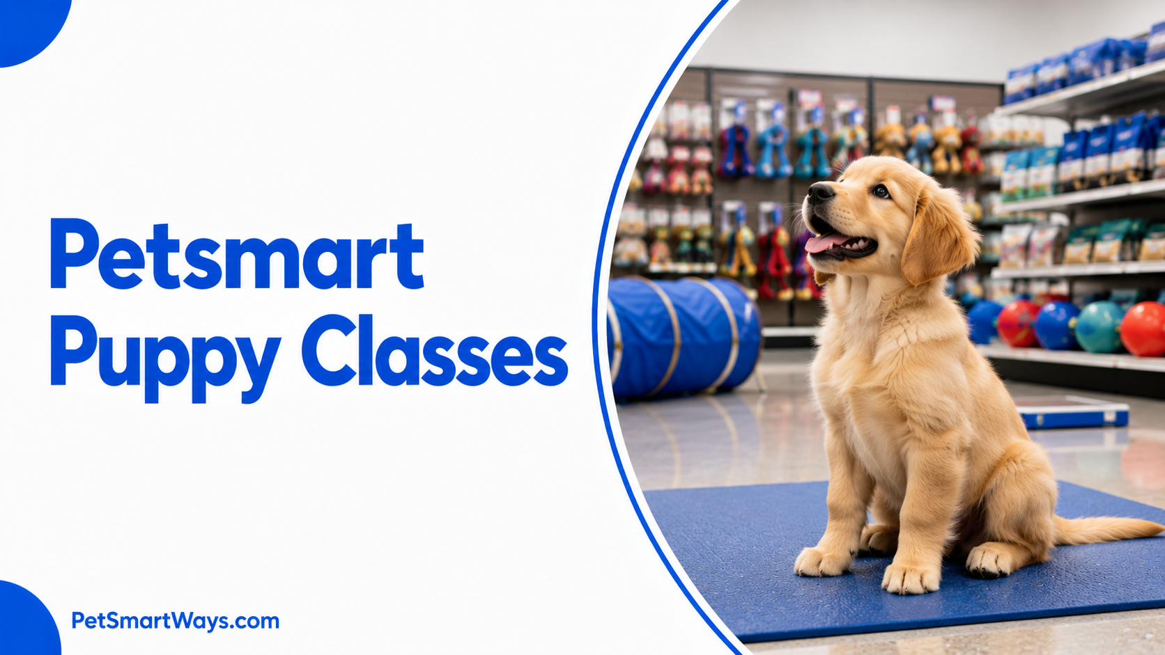 Puppy Classes