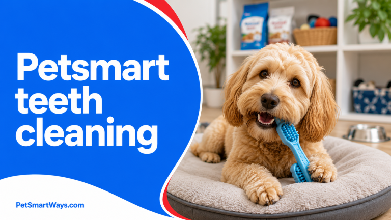 Teeth Brushing at the Grooming Salon