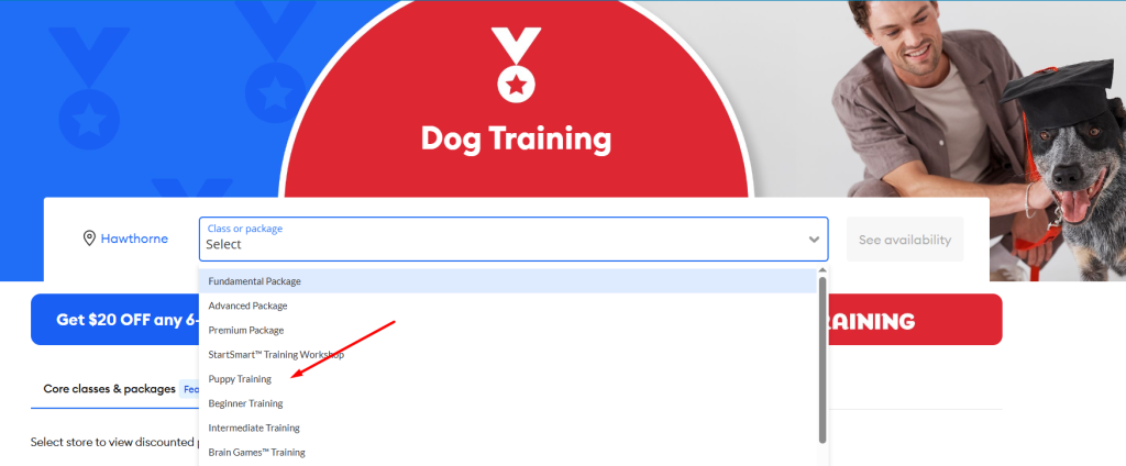 petsmart dog training plan at petsmart