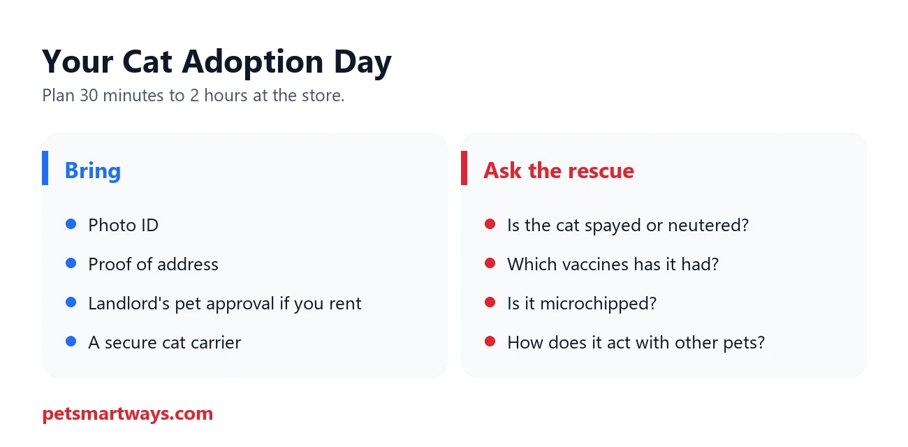 What to bring and what to ask on cat adoption day at PetSmart