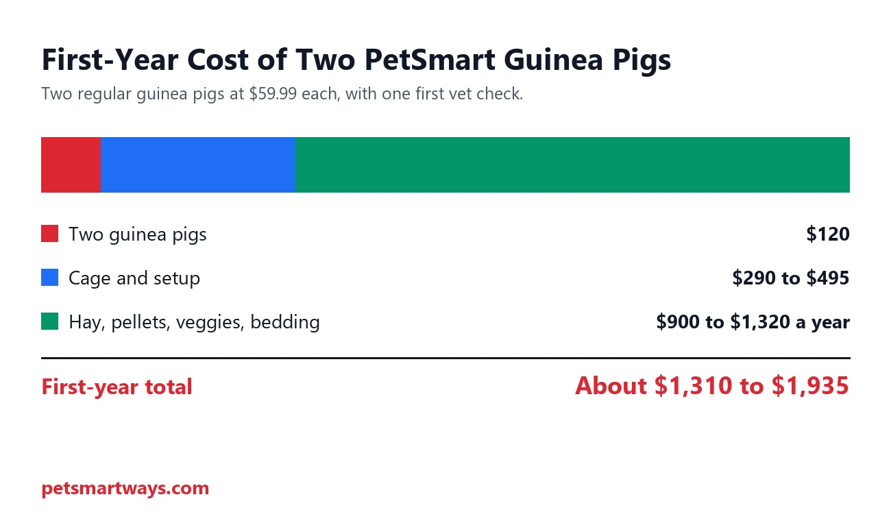 First-year cost of two guinea pigs from PetSmart