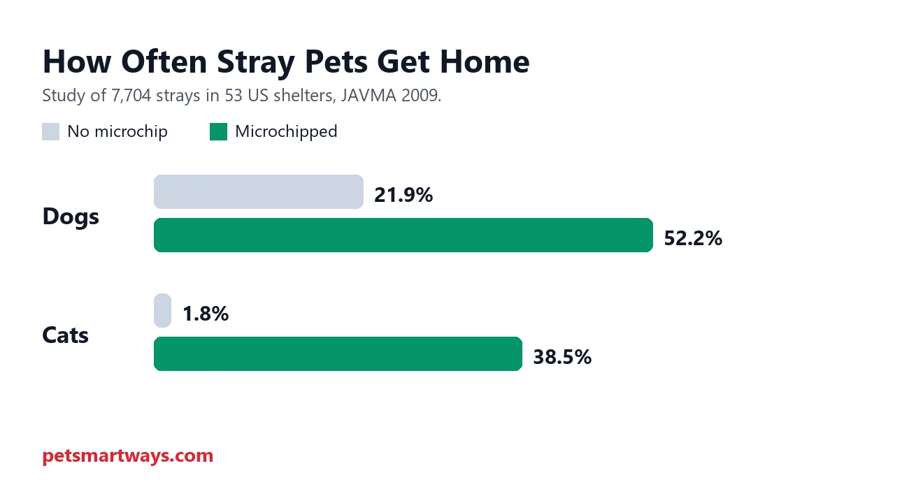 How often microchipped and unchipped stray dogs and cats are returned to owners