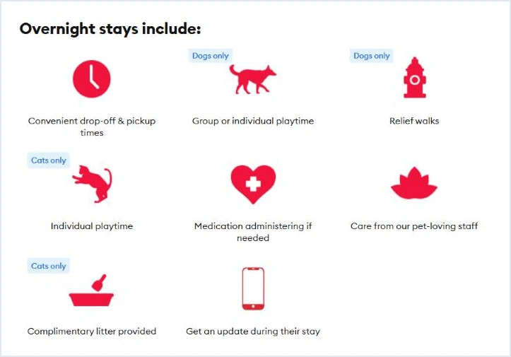 What PetSmart says every PetsHotel overnight stay includes, from playtime to medication