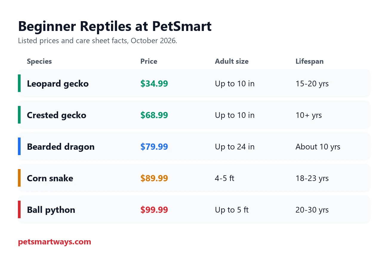 PetSmart beginner reptiles compared by price, adult size and lifespan