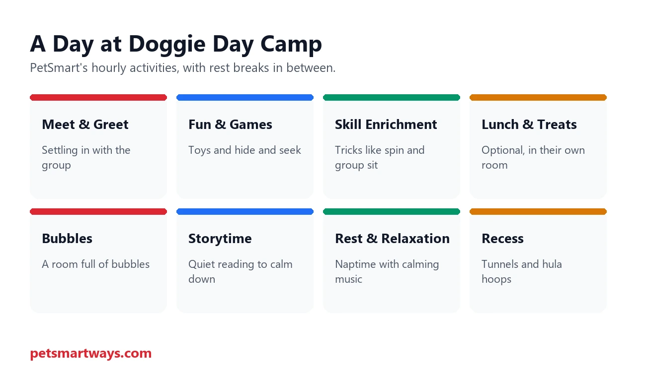 Hourly activities at PetSmart Doggie Day Camp