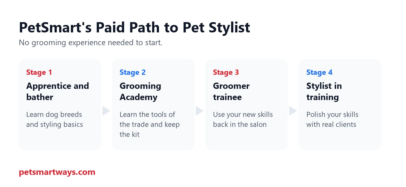 The four stages of PetSmart's paid groomer training program