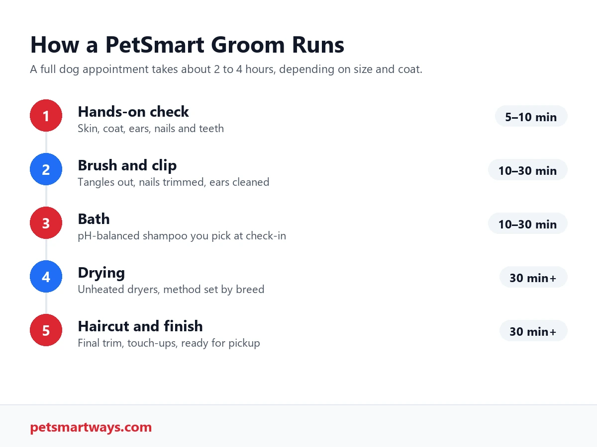 The five steps of a PetSmart groom, from the hands-on check to the haircut