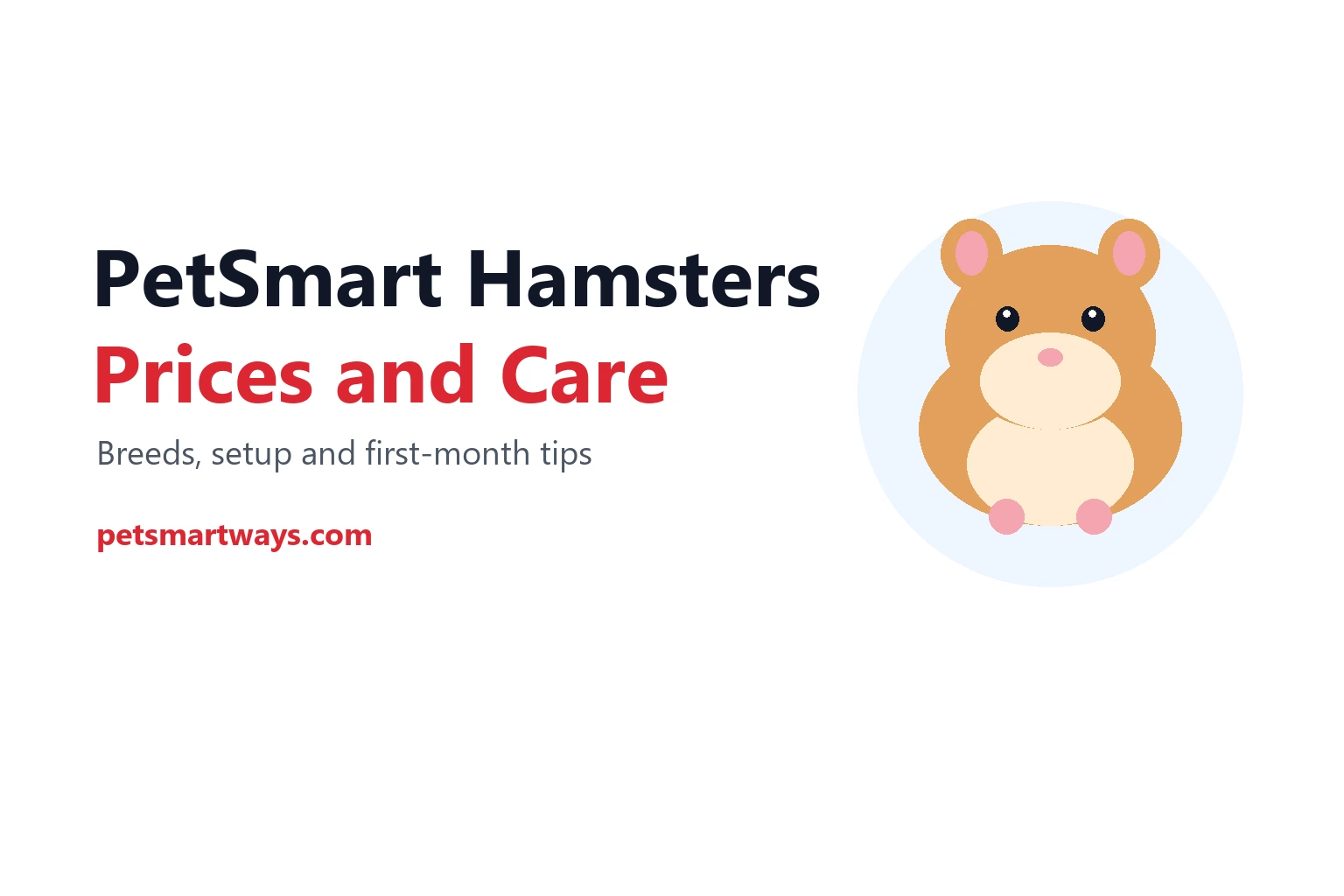 PetSmart hamster prices and care guide