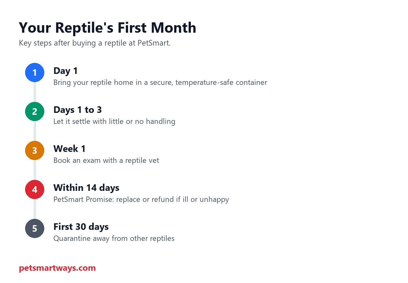 Five steps for a new reptile's first month after buying at PetSmart